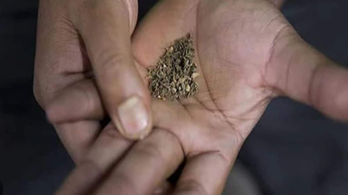 Despite Ban, Gutkha Trade Continues In Maharashtra; Govt Says 3,173 Arrested In 2025