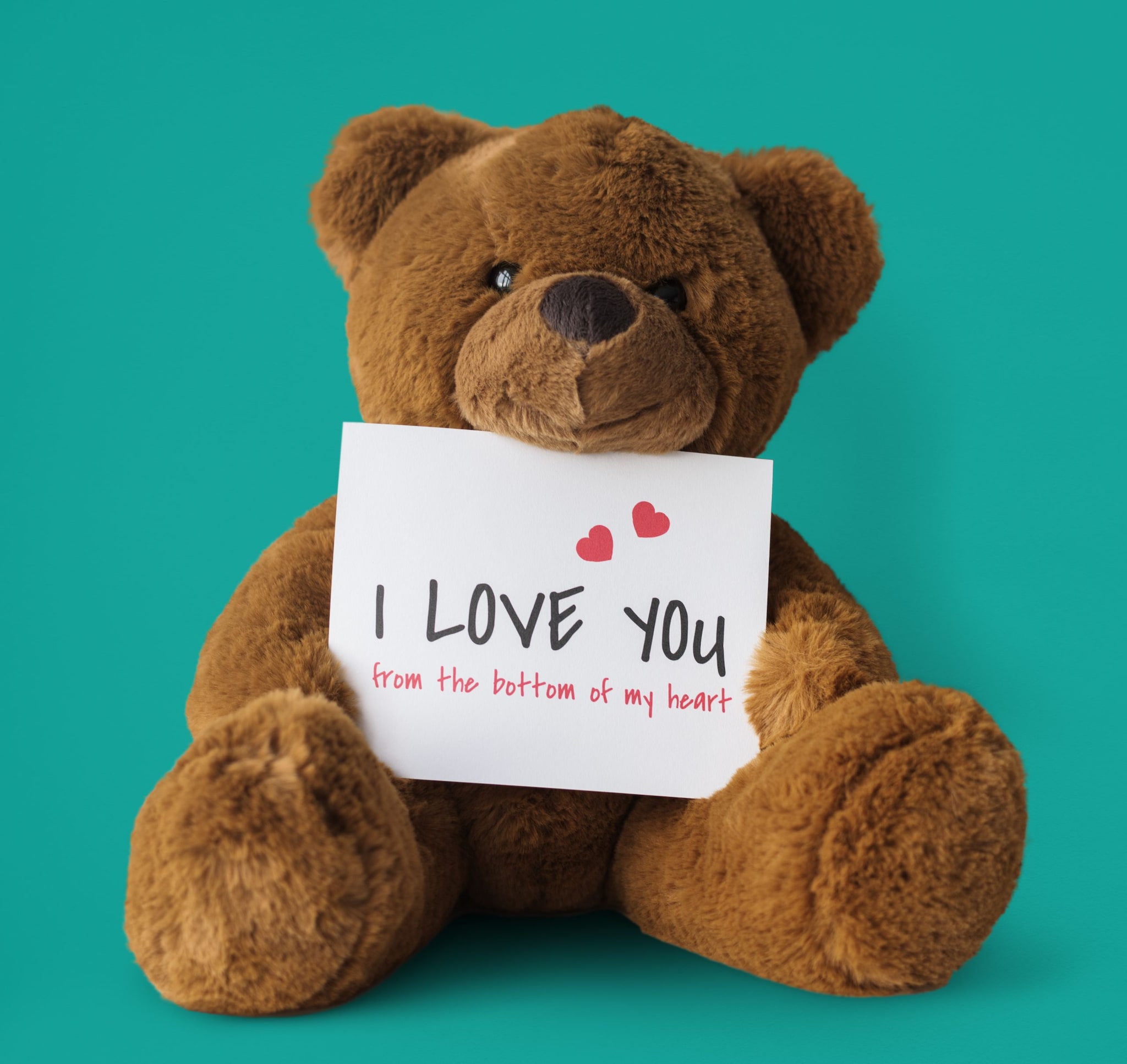 Teddy Day 2026 falls on February 10. (Image: Shutterstock)