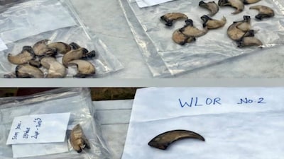 The Forest Department has appealed to the public to avoid purchasing illegal wildlife products linked to superstition.