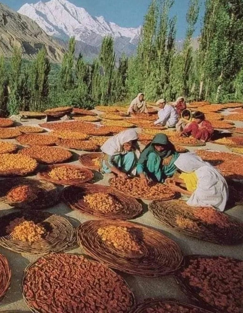 Also, people from Hunza community take long walks, and their diet is filled with fruits, raw vegetables, dry fruits, milk and eggs.