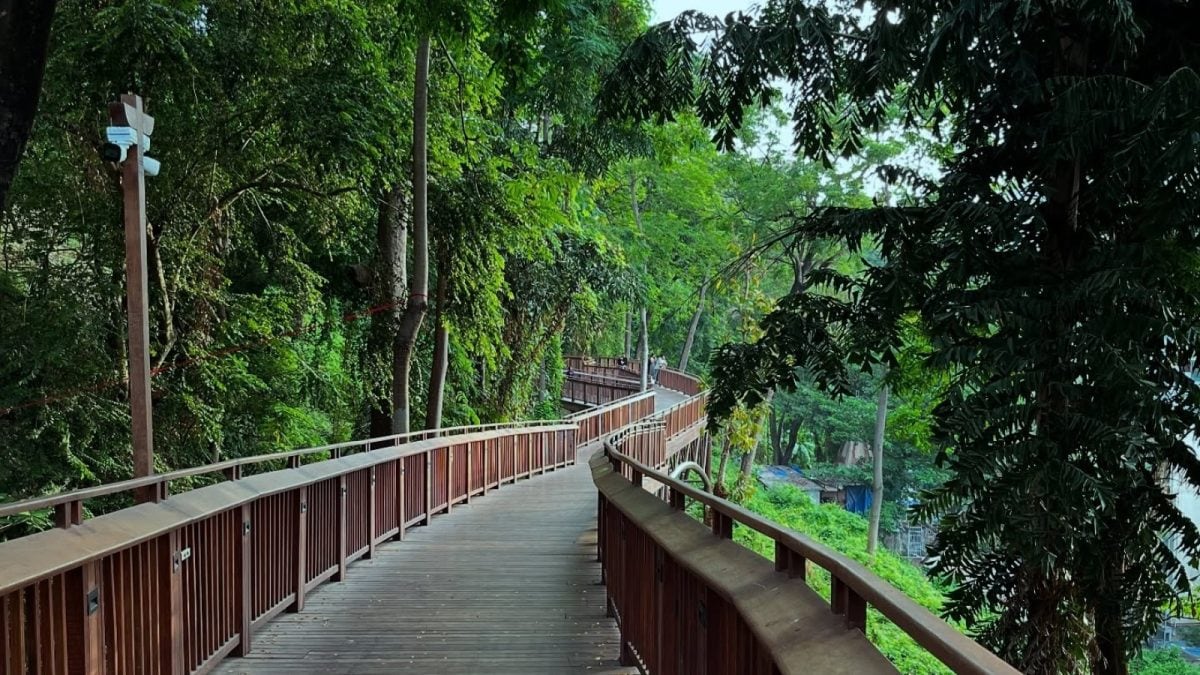 Love But Make It Wild: 5 Nature Walks To Visit This Valentine’s Weekend In Mumbai