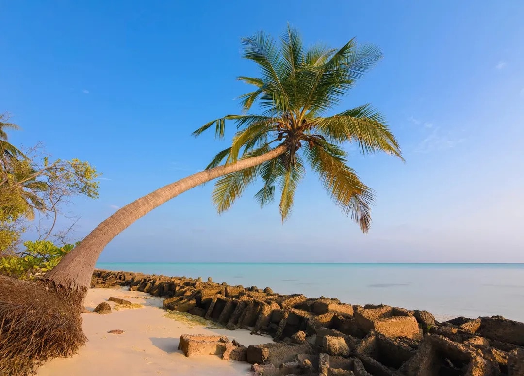 Lakshadweep is connected to the mainland by air and sea, and both have their own charm.