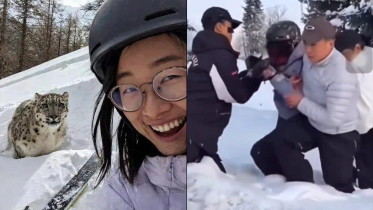 Snow Leopard Mauls Skier Seconds After She Tries To Take Selfie In China’s Xinjiang | Video