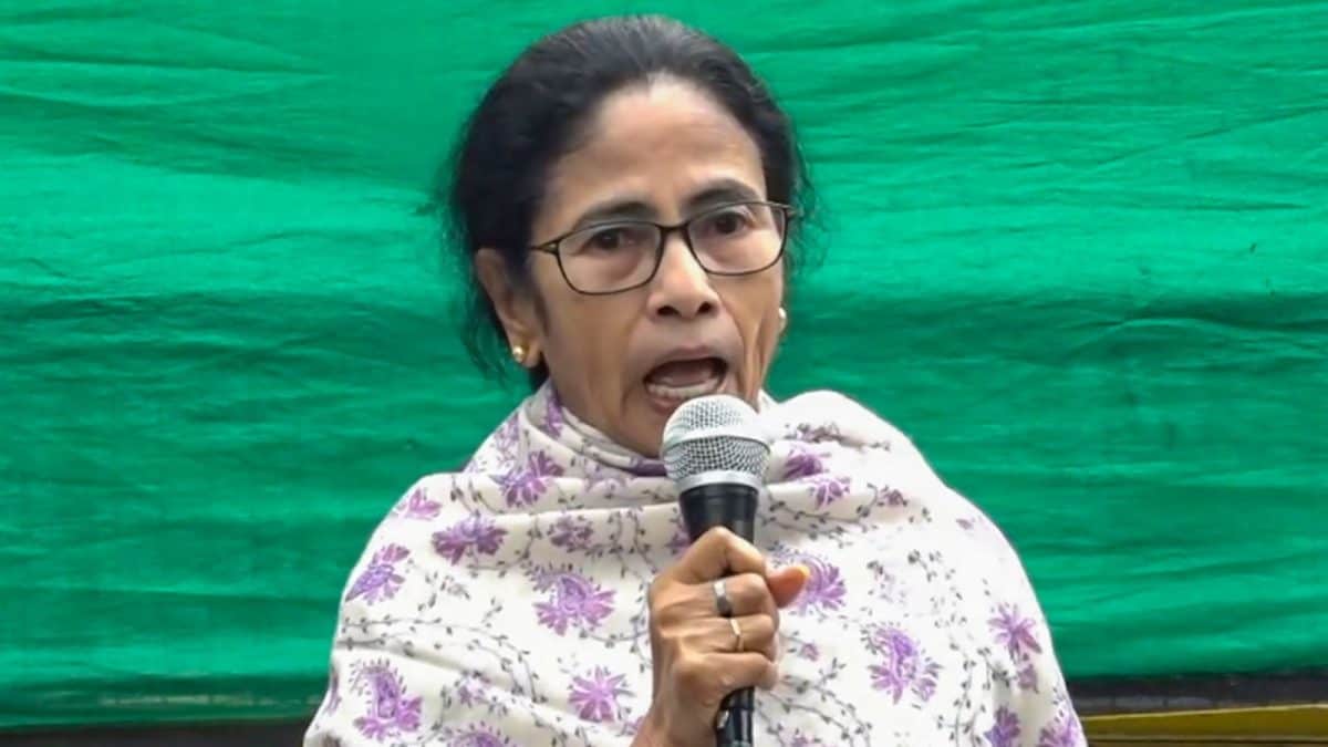 'Bengalis Being Tortured In Capital': In Delhi, It's Mamata Banerjee Vs Delhi Police Over SIR