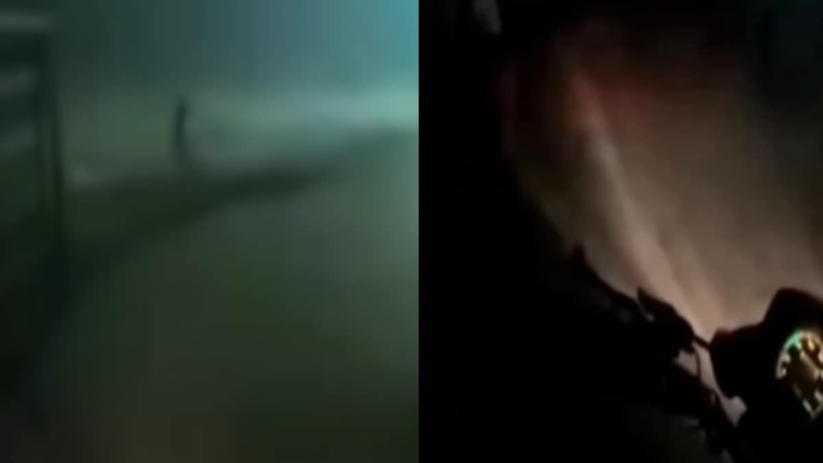 Woman Orders Biryani Inside Cemetery, Delivery Executive Says ‘Main Kabristaan Ke Andaar Nahi Aunga’