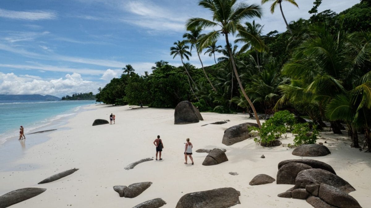 Planning A Seychelles Trip? Here's What You Must Know About The Chikungunya Warning