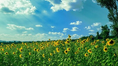 Bengaluru and other parts of south-interior Karnataka may experience temperatures of about 1 degree Celsius above normal. Image: Canva