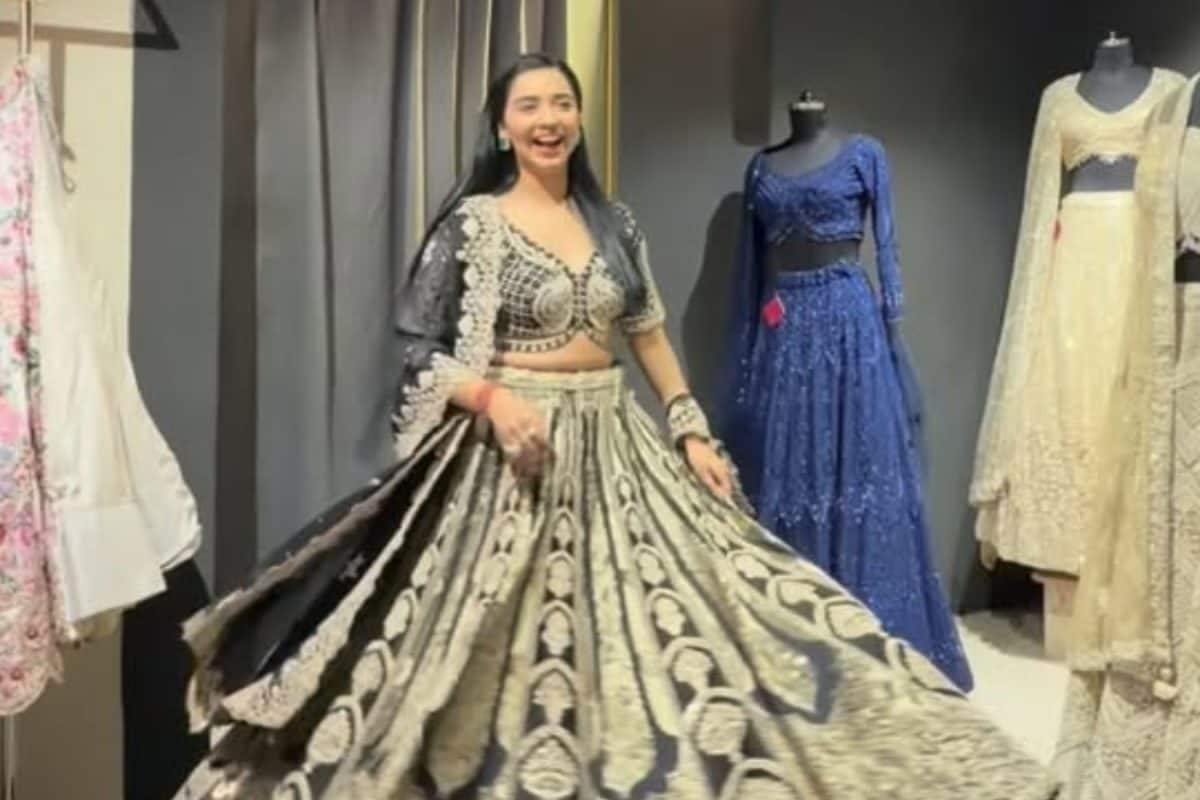 Bigg Boss 19's Tanya Mittal Getting Married? Photo In Bridal Trousseau Sparks Rumours