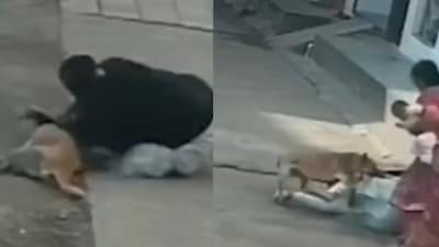 She tried to escape but fell to the ground(Photo Credit: Instagram)