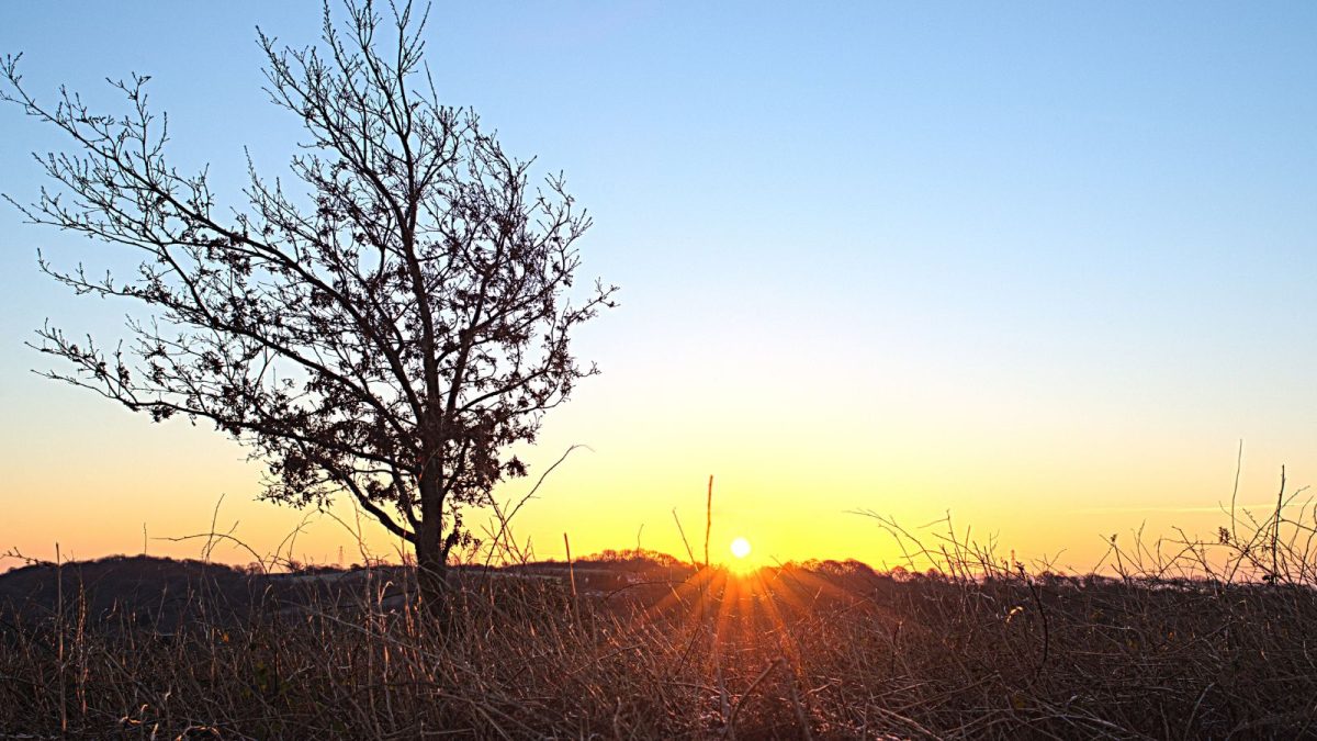 Bengaluru To Feel Warmer From Today: IMD Warns Of Rising Temperatures