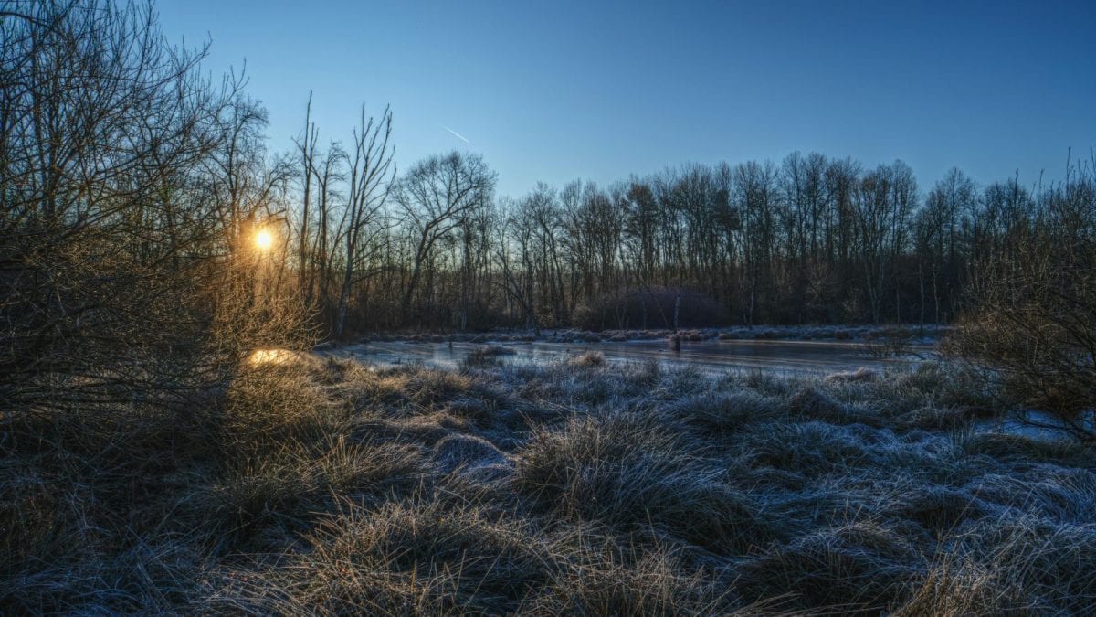 Dry Weather Stays In Bengaluru, But Some Areas Are Feeling The Cold More