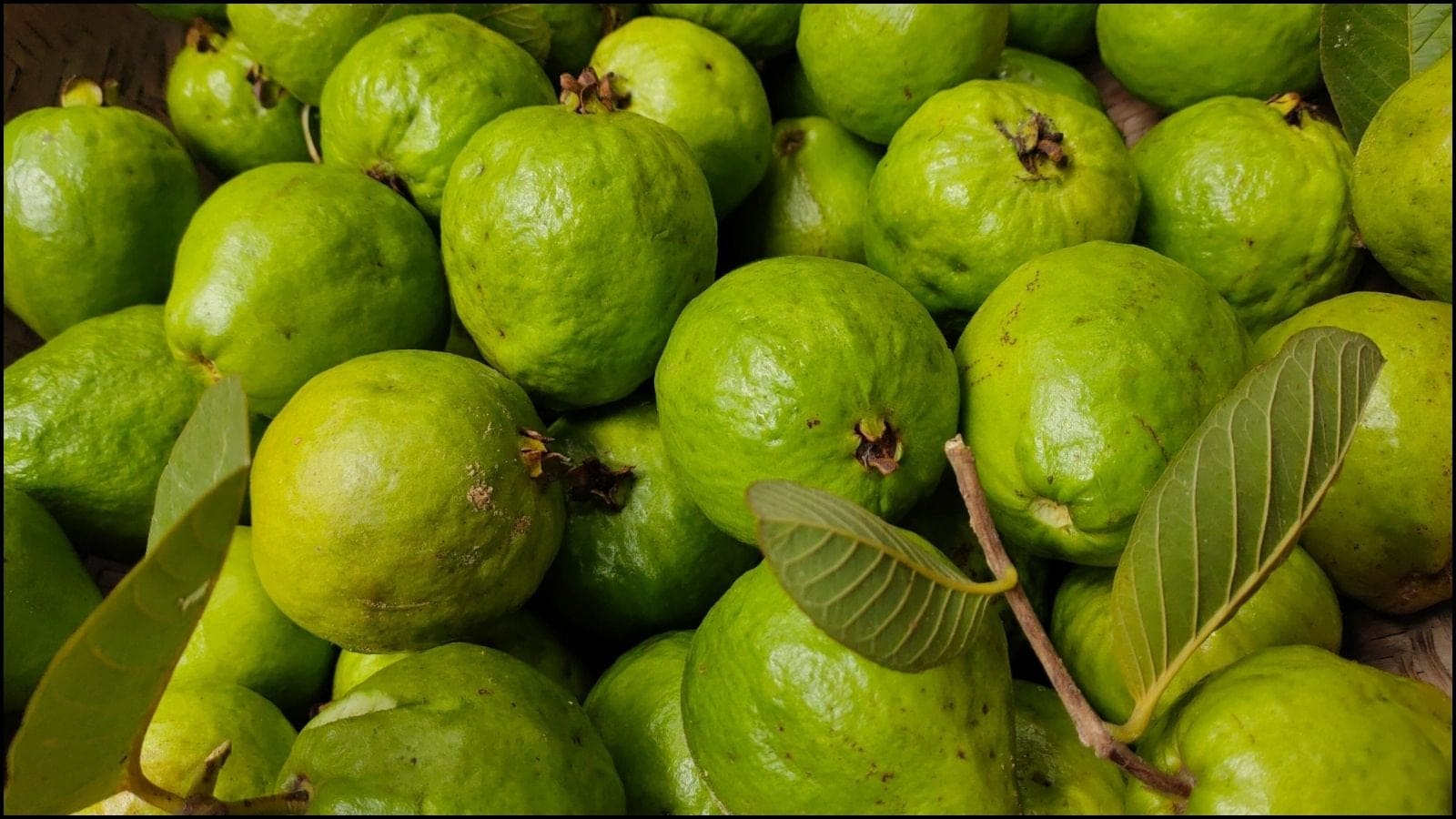 Guava With Or Without Peel Experts Explain Which Way Is Healthier For You guava-with-or-without-peel-experts-explain-which-way-is-healthier-for-you