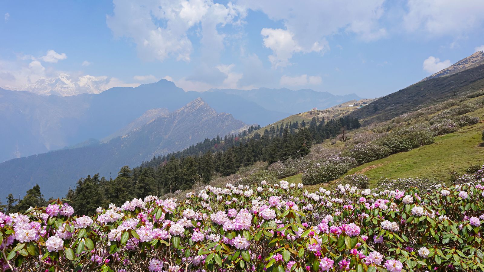 10 Places To Visit In Uttarakhand This Summer