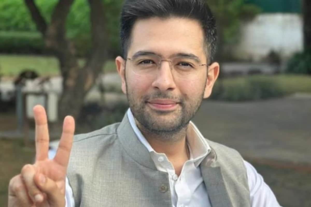 'Silenced, Not Defeated': Raghav Chadha Questions AAP, Asks If He Has Done Anything Wrong