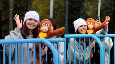 Lisa also posted a few cute shots of Punch inside his enclosure.  (Photo Credit: Instagram)