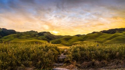 Japan may have cherry blossoms, but India answers with wild valleys, tulip gardens, and hillside blooms. Which of these 6 stunning spring escapes would you pick first?