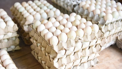 Currently, eggs are being sold at around Rs 5.50 to Rs 6 each, compared to the earlier price of Rs 8 to Rs 9 per egg in the city. (Image: Canva)