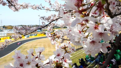 Formula One: Japanese Grand Prix (X/F1)