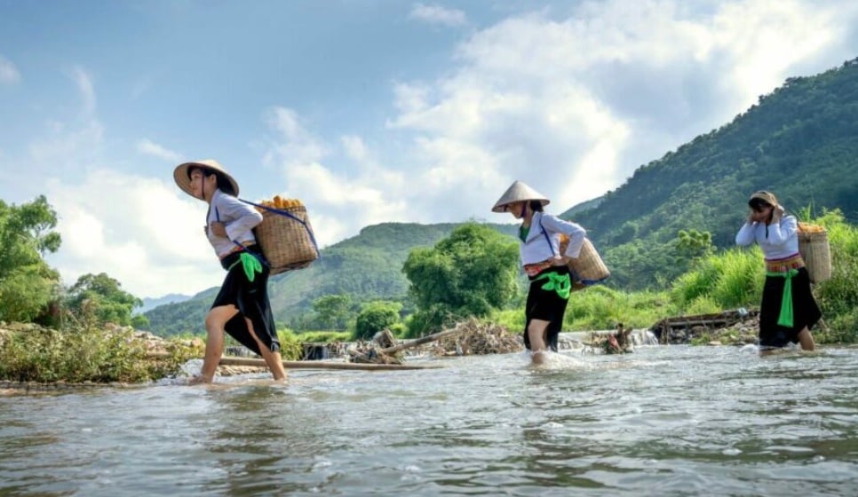 For humanity, rivers are primarily a source of life-sustaining freshwater. Long before the invention of modern desalination or deep-well drilling, civilizations were forced to settle near moving water. Today, billions of people still rely directly on rivers for drinking water, sanitation, and hygiene. Beyond direct consumption, rivers are the backbone of global food security. Irrigation systems divert river water to vast tracts of farmland that would otherwise be arid. For humanity, rivers are primarily a source of life-sustaining freshwater. Long before the invention of modern desalination or deep-well drilling, civilizations were forced to settle near moving water. Today, billions of people still rely directly on rivers for drinking water, sanitation, and hygiene. Beyond direct consumption, rivers are the backbone of global food security. Irrigation systems divert river water to vast tracts of farmland that would otherwise be arid.