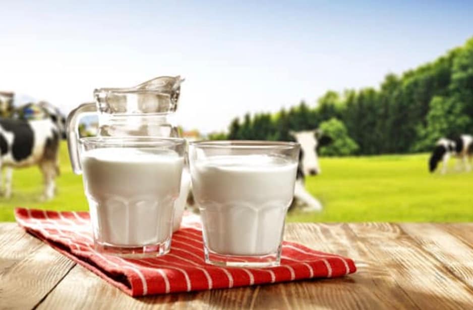  However, dairy consumption differs greatly between countries due to variations in dietary habits, agricultural production, and the availability of dairy products. In many regions, milk and dairy foods play a central role in daily nutrition and traditional diets.