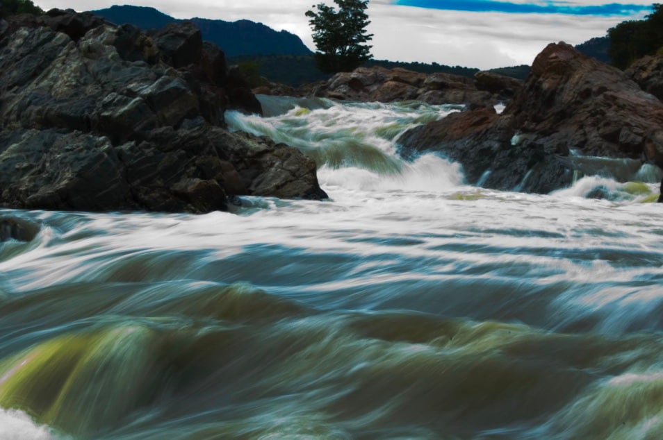 In the context of a changing climate, rivers act as a massive drainage system. They move excess rainwater away from land surfaces, preventing stagnant flooding. Mangroves and deltas at the mouths of rivers also act as buffers against storm surges and rising sea levels, protecting inland communities. In the context of a changing climate, rivers act as a massive drainage system. They move excess rainwater away from land surfaces, preventing stagnant flooding. Mangroves and deltas at the mouths of rivers also act as buffers against storm surges and rising sea levels, protecting inland communities.
