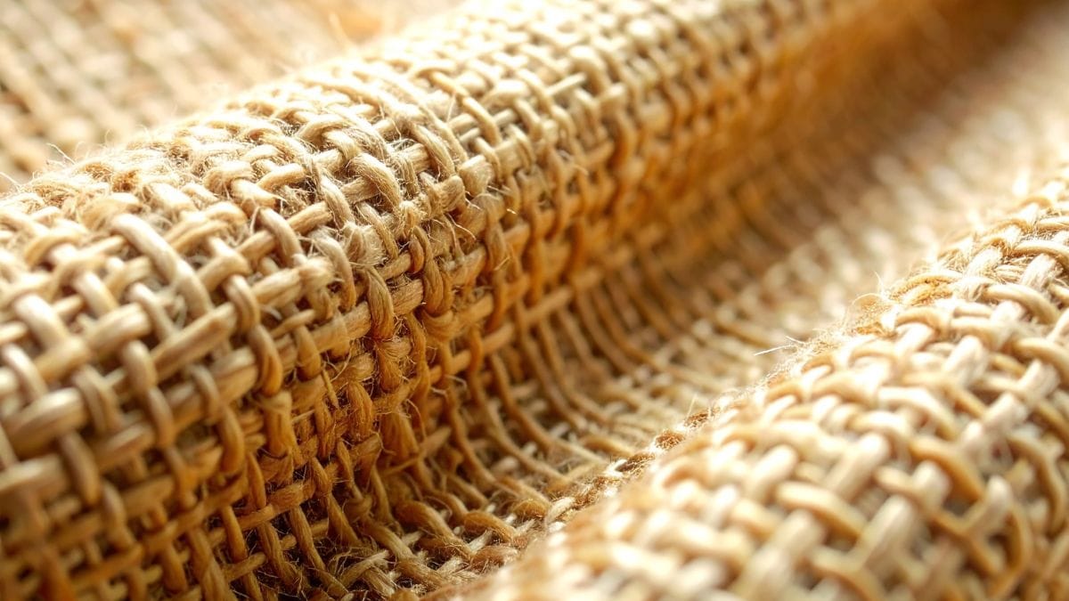 GK: Which City Is Known As The Jute Capital Of The World?