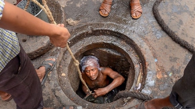 Of the total 315 deaths across India between 2021 and 2025, more than 60 per cent fatalities (195) were concentrated in just five states. (PTI)