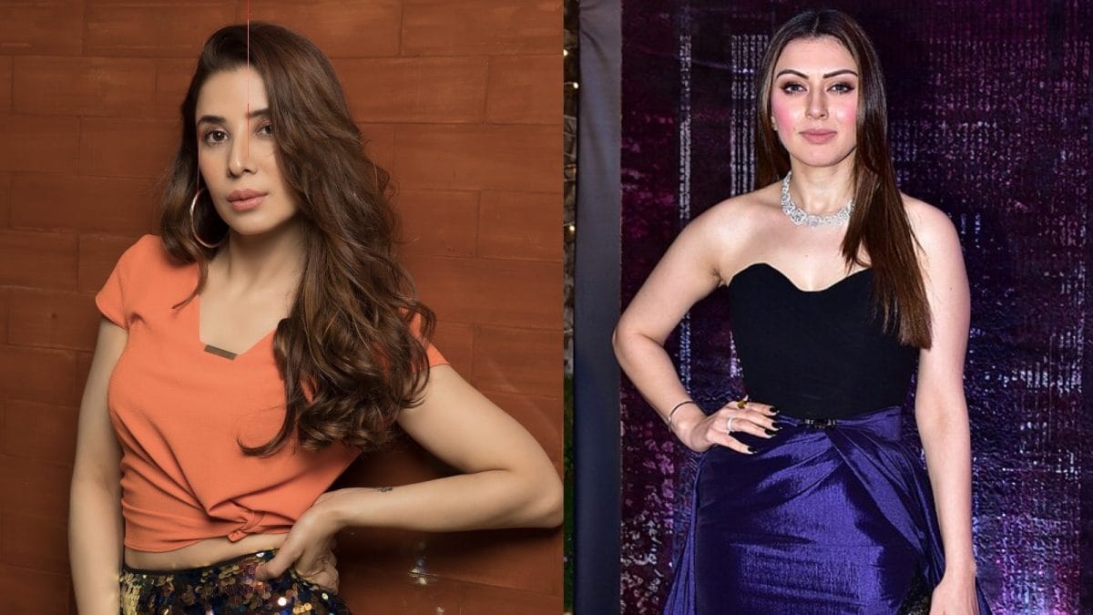 Hansika Motwani’s Rs 2 Crore Defamation Battle with Ex‑Sister‑In‑Law Sparks Court Drama