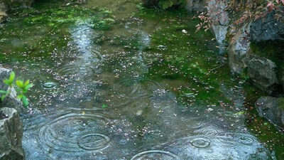 There are signs that the rainfall will decrease from March end as there are indications that the amount of moisture-rich air blowing towards the land will decrease. Image: Canva