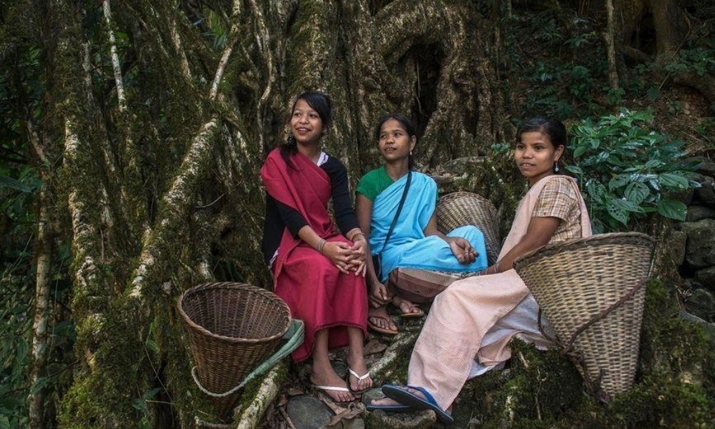 Shillong, Meghalaya: Representing the matrilineal culture of the Khasi tribe, Shillong is a city where women occupy central roles in society. This cultural foundation translates into a high degree of safety, respect, and independence for solo travellers exploring the Northeast's hills. Shillong, Meghalaya: Representing the matrilineal culture of the Khasi tribe, Shillong is a city where women occupy central roles in society. This cultural foundation translates into a high degree of safety, respect, and independence for solo travellers exploring the Northeast's hills.