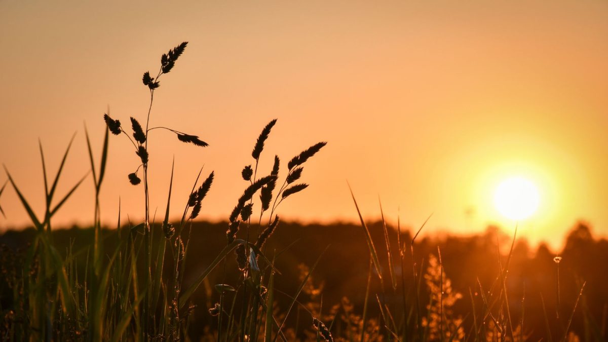 Bengaluru Weather Alert: Humidity And Heat To Rise Further This Weekend | Bengaluru-news News