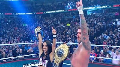 AJ Lee, CM Punk. (X) 