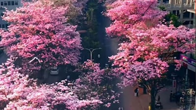 The woman moved to Bengaluru just a few days back. (Photo Credit: Instagram)