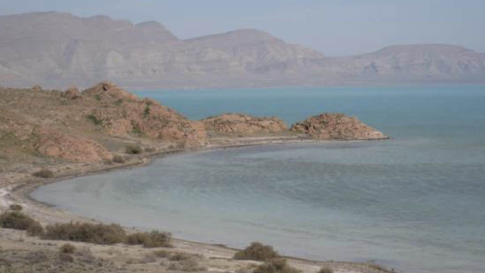Nearly 50 islands are scattered across the Caspian Sea. It supports the rare Caspian seal, six species of sturgeon, and hundreds of fish and other small aquatic creatures.