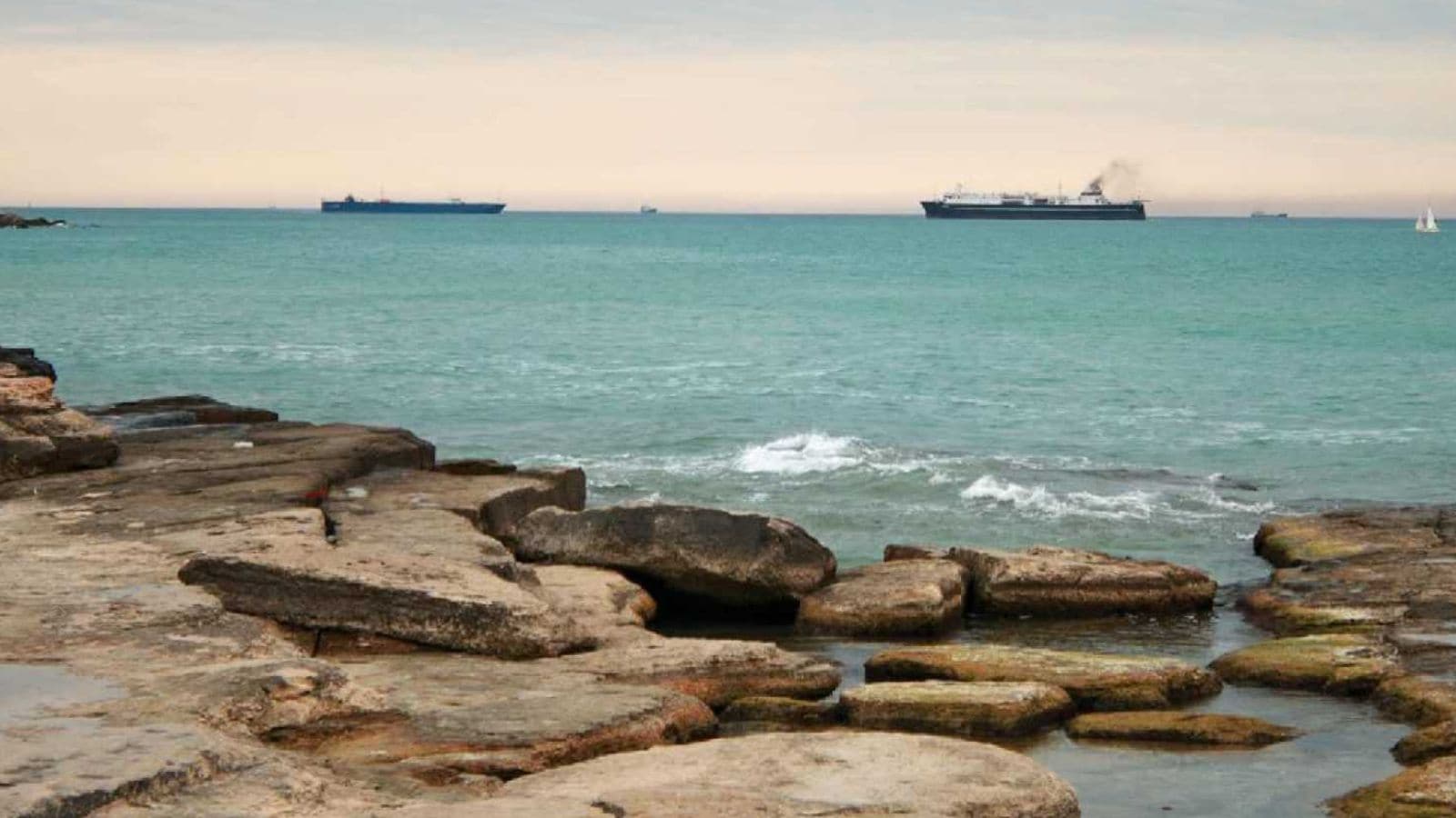 Researchers believe the Caspian seal once travelled from the Arctic region. They likely moved through ancient river systems that disappeared thousands of years ago.