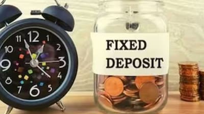 Fixed deposits act as the stabilising core of a portfolio, offering assured returns regardless of market conditions.