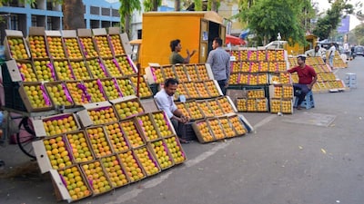 Alphonso mangoes, known for their distinct flavour and aroma, enjoy strong demand across international markets. (PTI)