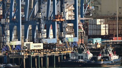 Previously, Maersk said it has suspended cargo bookings to and from several ports in the West Asia region. (Image: AFP/File)
