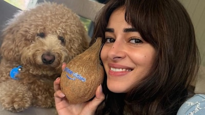 Ananya Panday sparks curiosity online after sharing a mysterious coconut-themed post with the hashtag #ItStartsHere. (Photo Credit: Instagram)