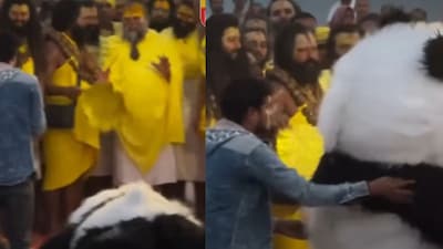 The man in the Panda costume bowed and danced in front of Premanand Maharaj. (Photo Credit: Instagram)