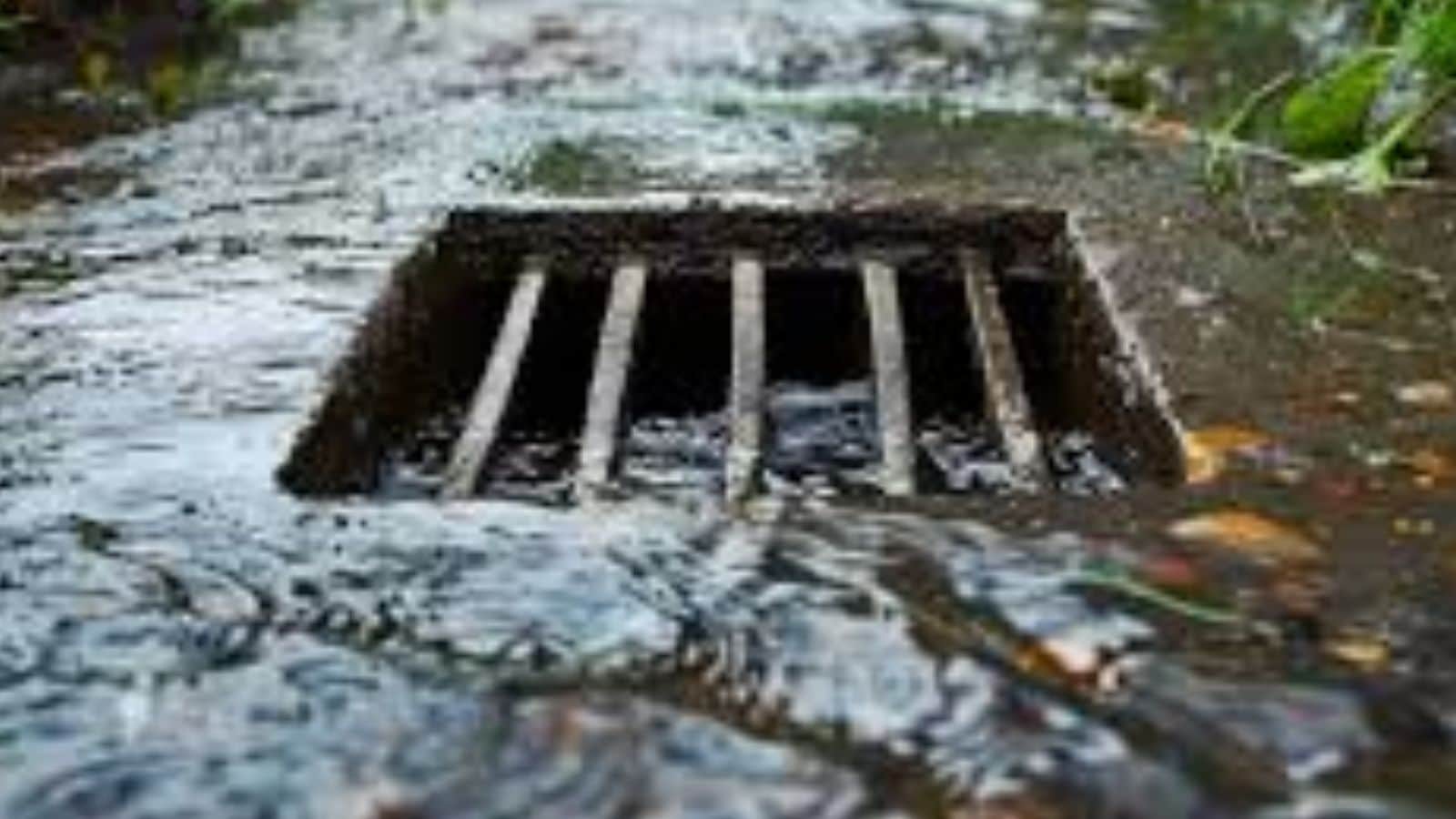 Restaurants, hotels and food production units are considered “vegetable waste oil producers.” These businesses are required to have a contract of at least one year with a licensed biorefinery or authorised collection facility to manage their used oils. The
 report citing research pointed out that pouring just one litre of waste oil into drains can pollute up to one million litres of drinking water. This is equal to wasting the annual drinking water supply of approximately 15 people. 