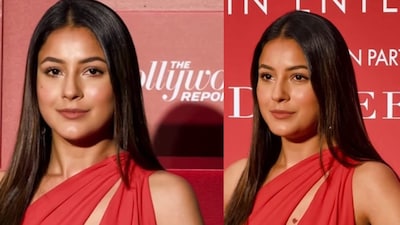 Shehnaaz was last seen in Ikk Kudi. (Photo Credit: Instagram)