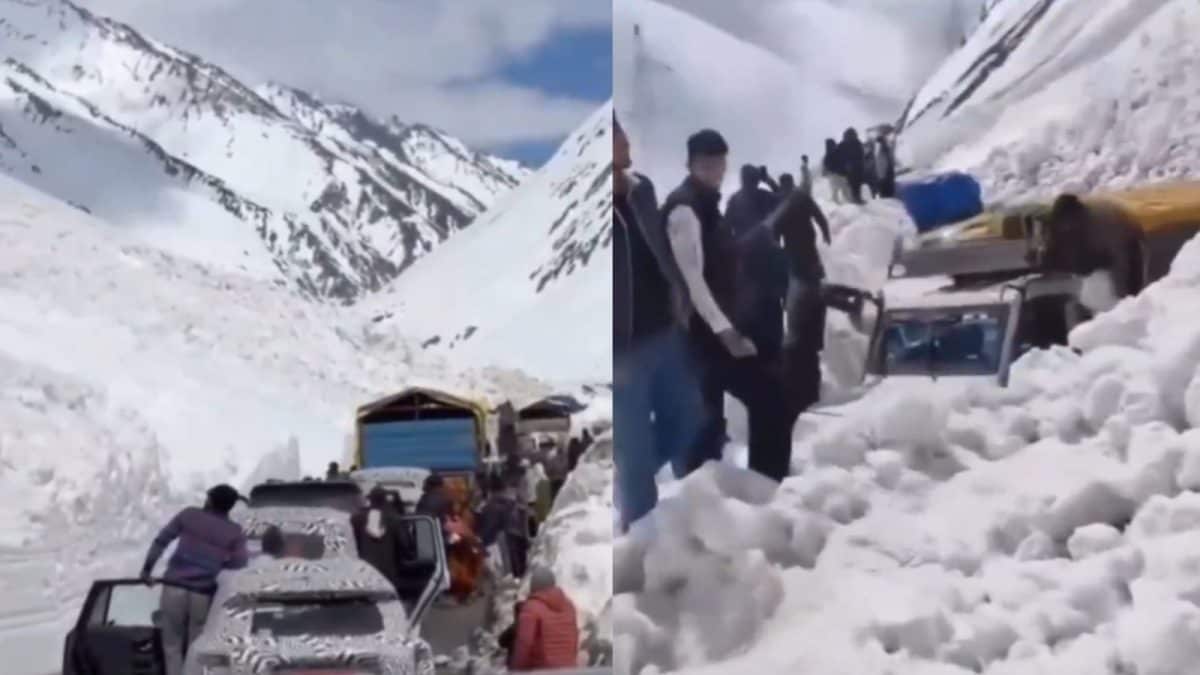 Vehicles Stuck, People Stranded: Visuals Show Impact Of Avalanche At Ladakh's Zojila Pass