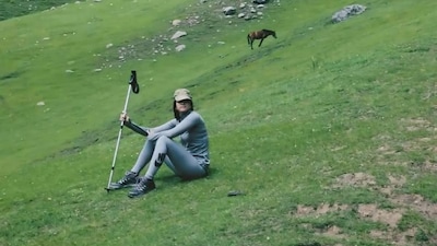 Who Is Nayanika Reddy, Allu Sirish Fiancée?