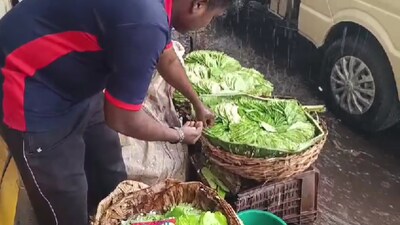 Bengaluru’s first rain brings relief with hailstorms and sudden showers. After days of heat, the city cools down as IMD warns more rain is on the way for the next four days.