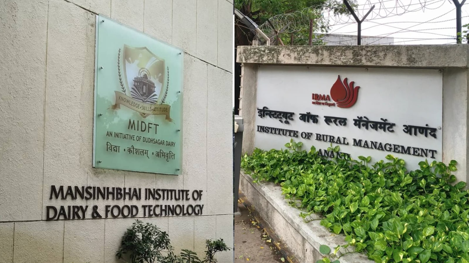 Research and Education: Anand is home to the Institute of Rural Management Anand (IRMA) and the Mansinhbhai Institute of Dairy & Food Technology. These institutions ensure a steady flow of skilled professionals who manage the complex logistics of the dairy supply chain, from cold storage to retail distribution.