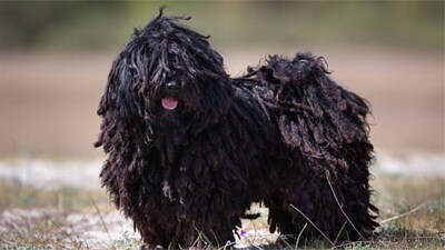 Set Makeup with a Spray