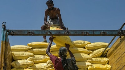 Workers load sacks of fertiliser in Amritsar, India, in 2025. (Image Courtesy: Narinder Nanu/AFP via Getty Images)