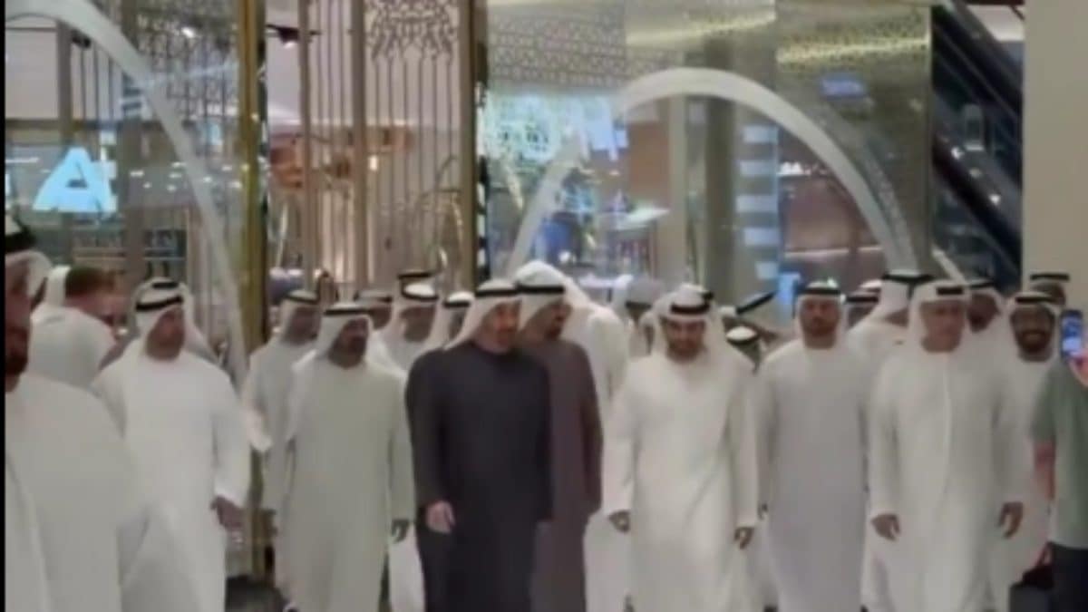 UAE President, Crown Prince Walk In Dubai Mall, Interacts With Tourists Amid Iran Strikes | Video