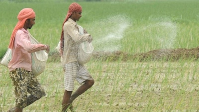 India consumes about 35-36 million tonnes of urea annually, while the production is approximately 28-29 million tonnes per year. (AFP)